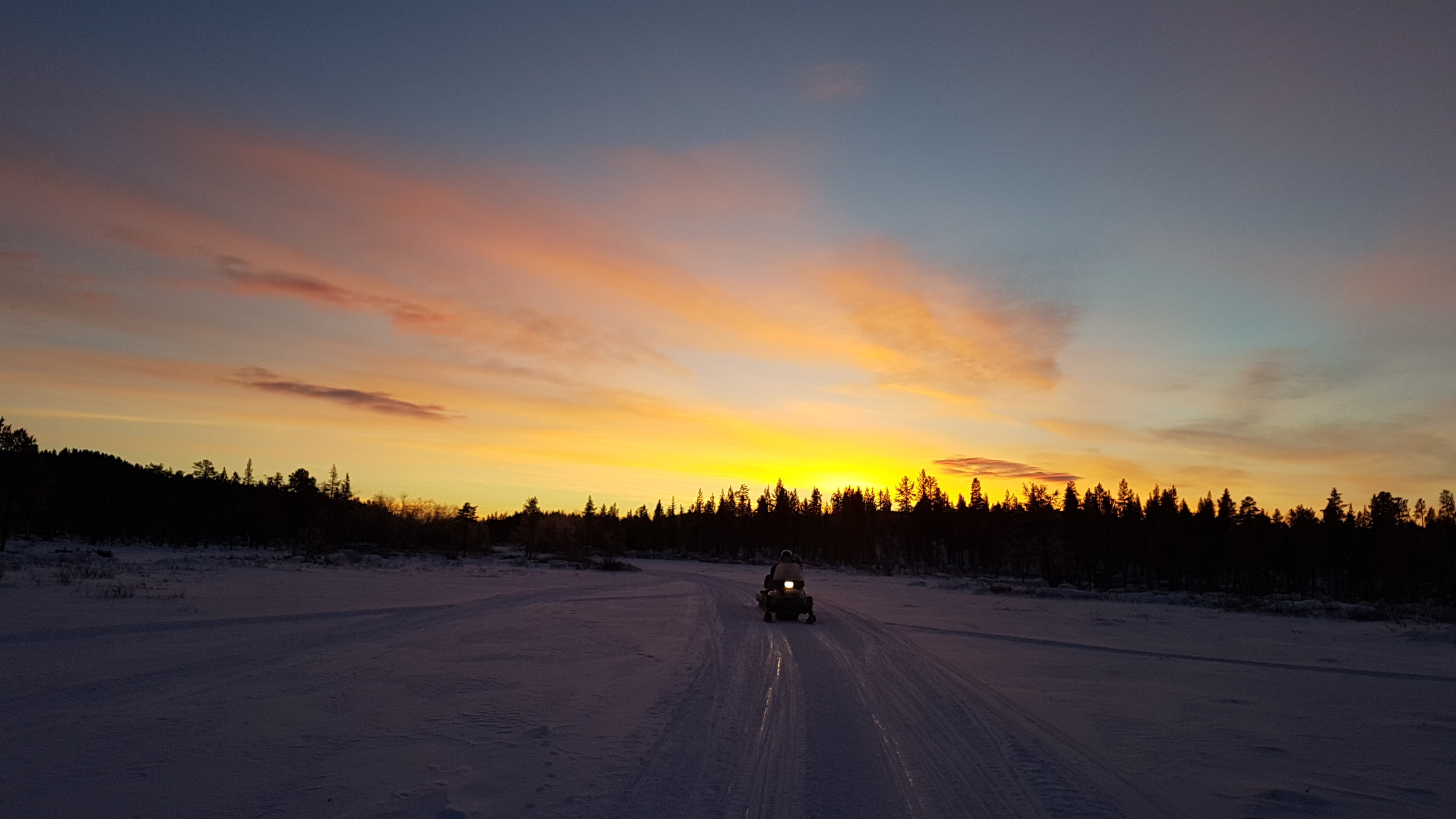 A rider making fresh tracks along the club trail network.